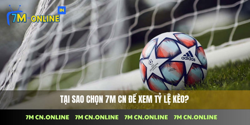 Lý do nên chọn 7M CN để theo dõi tỷ lệ kèo bóng đá