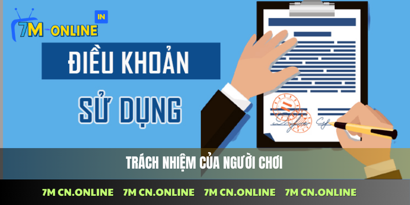 Nghĩa vụ và trách nhiệm cần tuân thủ điều khoản điều kiện tại 7M CN