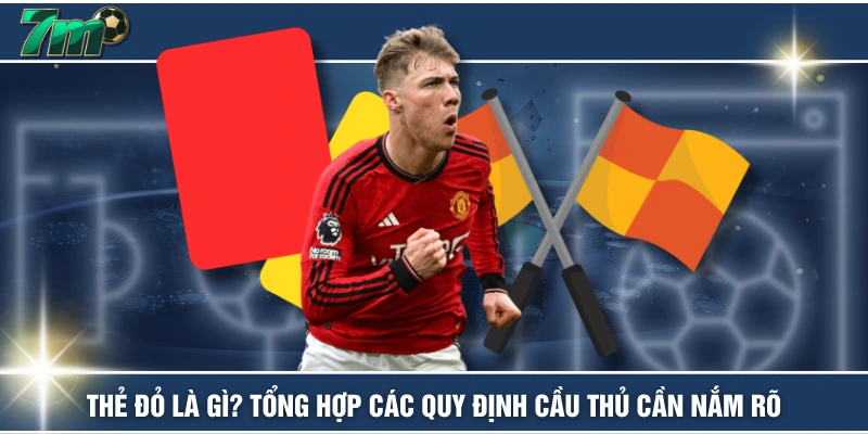 Thẻ Đỏ Là Gì? Tổng Hợp Các Quy Định Cầu Thủ Cần Nắm Rõ
